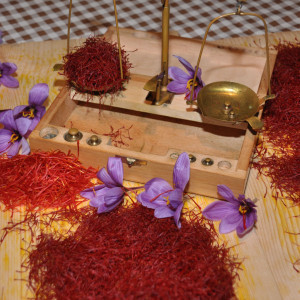 Saffron price